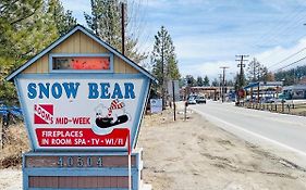 Snow Bear Lodge